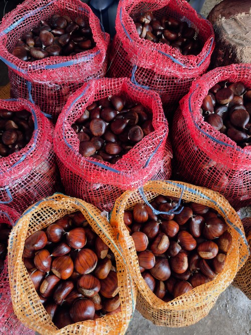 Amêndoas a crescer no ramo com folhas