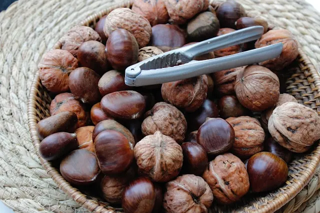 Castanhas e frutos secos